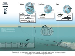 WDC bycatch nets