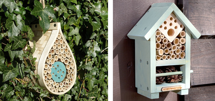 Homes for bees