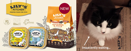 Lily's Kitchen ethical cat food