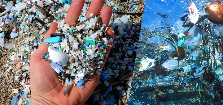 Hidden plastic dangers to marine life