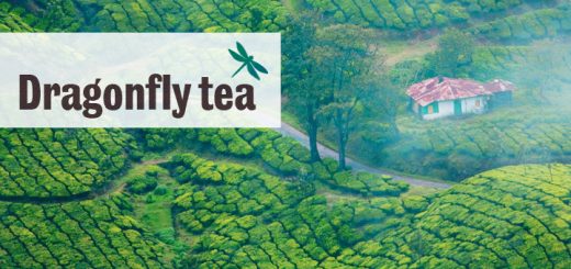 Dragonfly tea