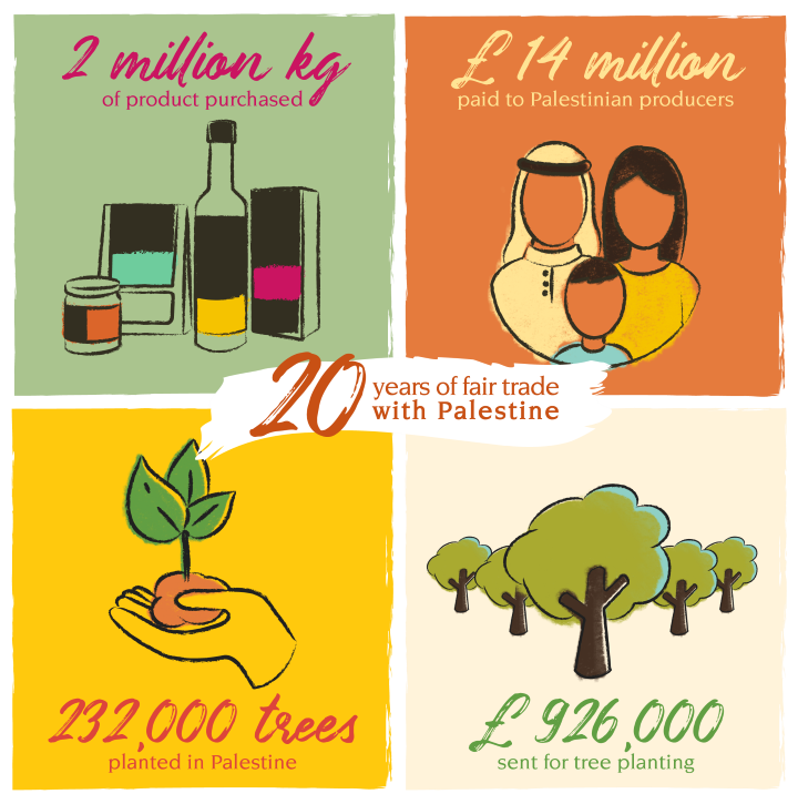 Infographic displaying the impact Zaytoun has made in numbers