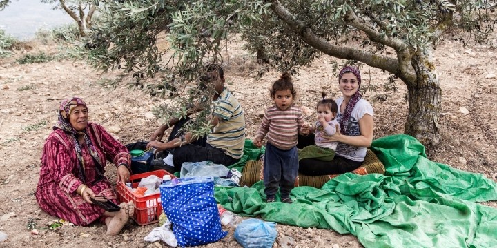An olive harvest picnic