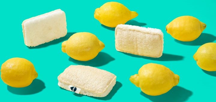 Three Seep sponge scourers displayed amongst some lemons.