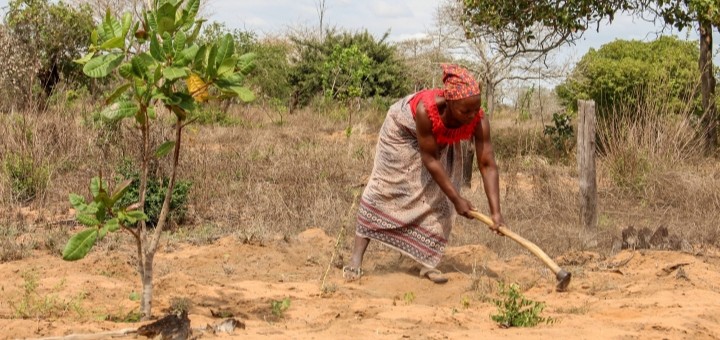 A Sunshine Nuts farmer in Mozambique